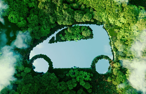 Naturauto